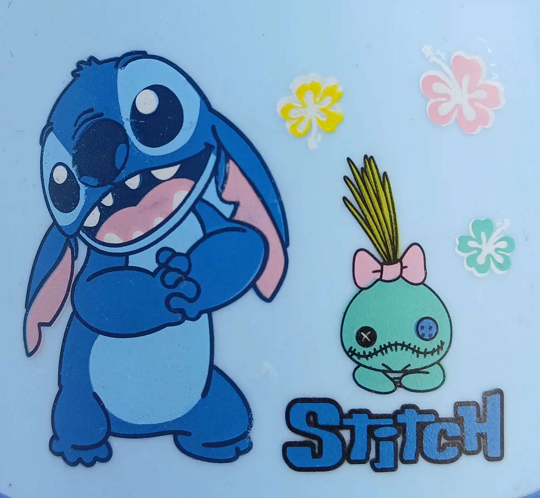 تم تولد رادوین