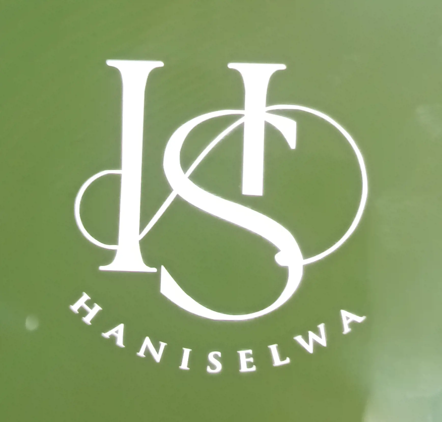 اکسسوری هانی سلوا 