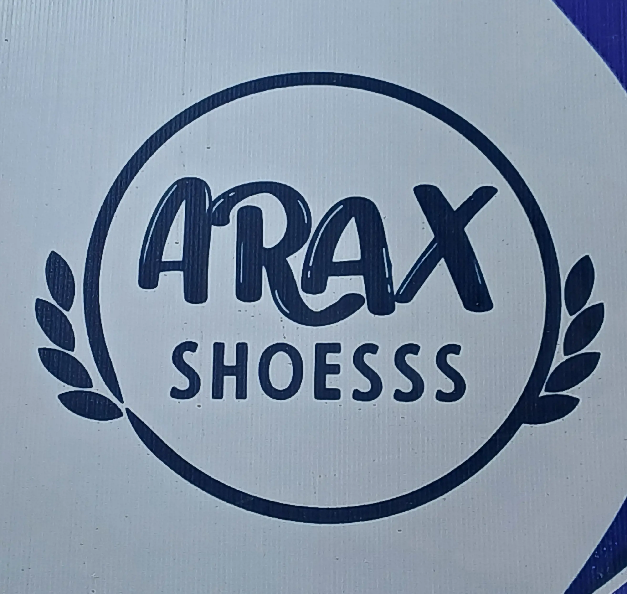 کیف و کفش آراکس